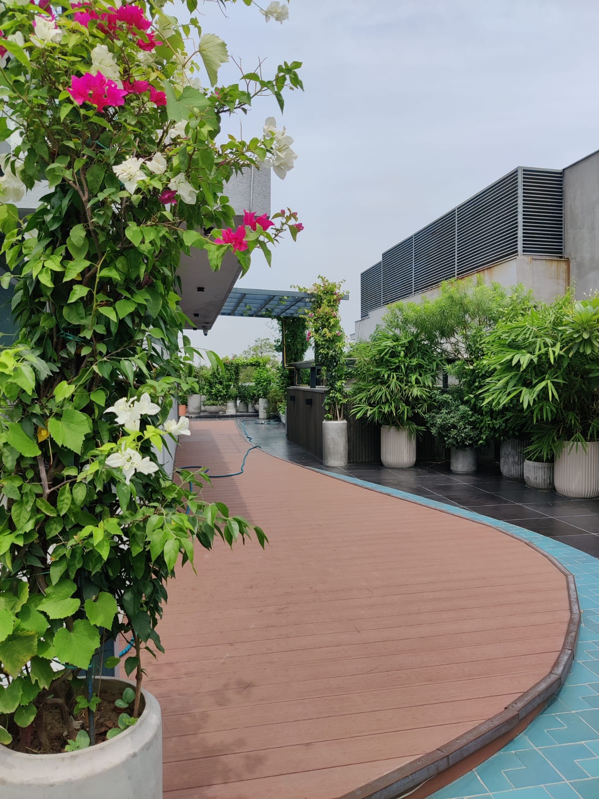 Landscape Design